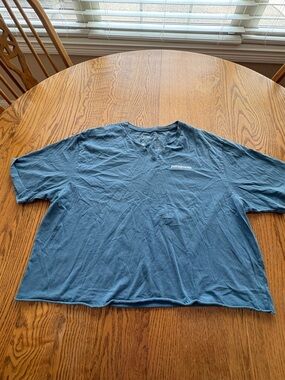 Patagonia Graphic T-Shirt Organic Cotton Cut Off V-Neck Blue Size L